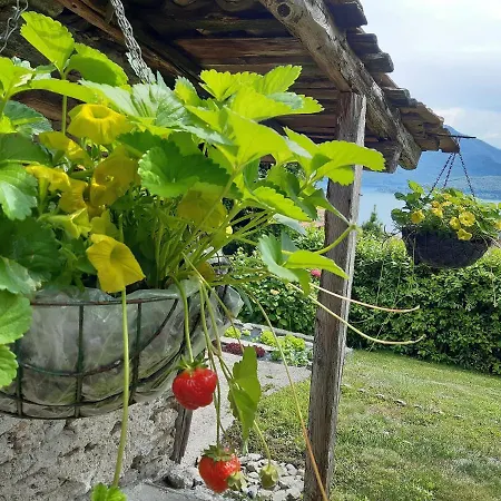 La Nicchia Comersee