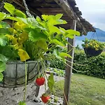 La Nicchia Comersee